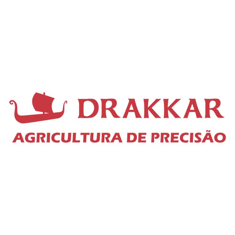 Logo Drakkar